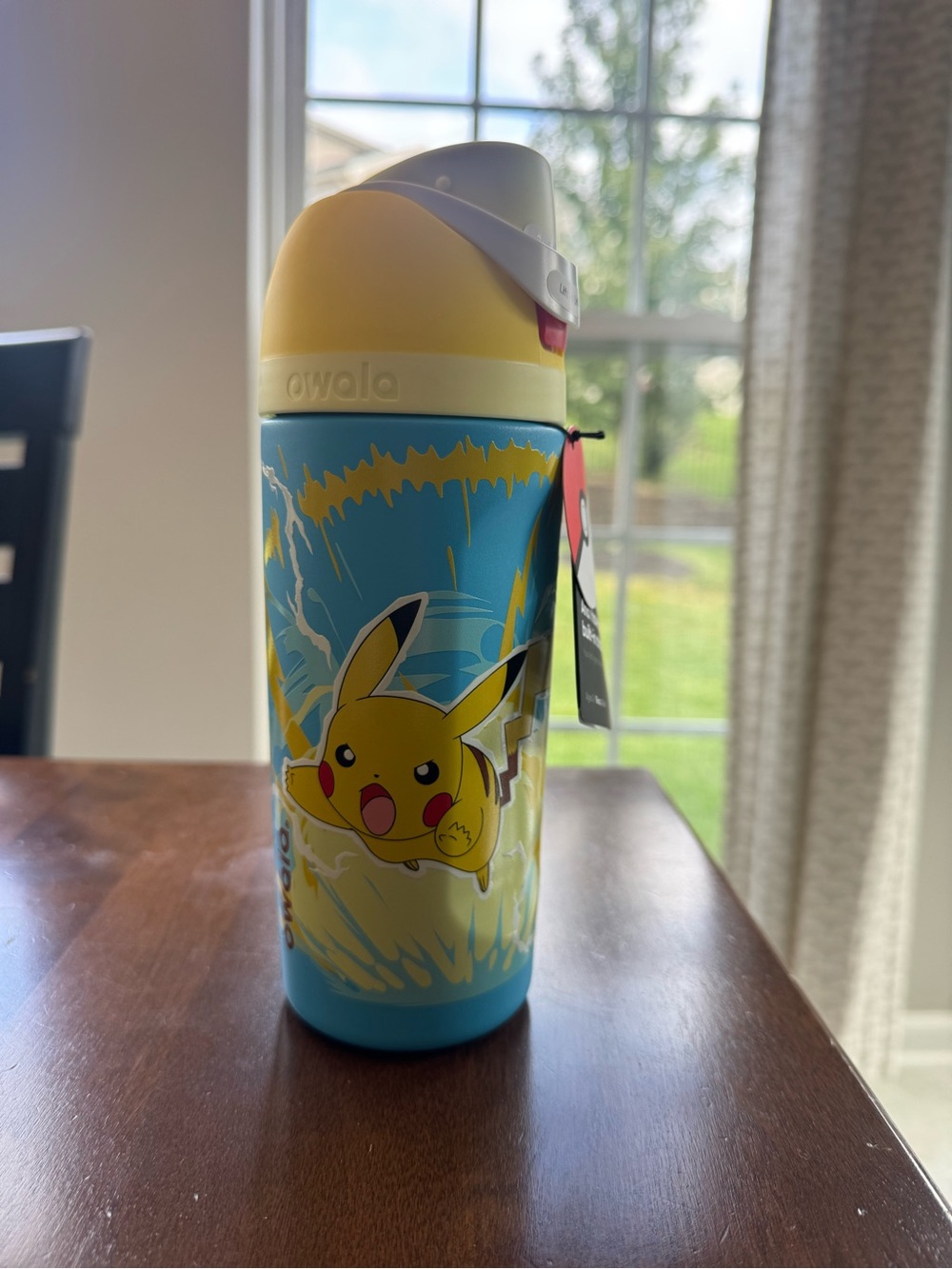 Owala x Pokémon Pikachu